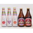 クラフトビールとリキュール5本セット(ヒュヴァ リンゴサワーalc.5% ヒュヴァ 巨峰サワーalc