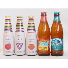 クラフトビールとリキュール5本セット(ヒュヴァ リンゴサワーalc.5% ヒュヴァ 巨峰サワーalc
