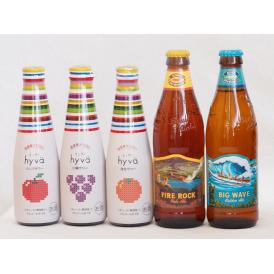 クラフトビールとリキュール5本セット(ヒュヴァ リンゴサワーalc.5% ヒュヴァ 巨峰サワーalc