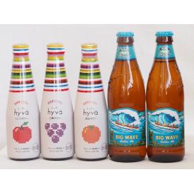 クラフトビールとリキュール5本セット(ヒュヴァ リンゴサワーalc.5% ヒュヴァ 巨峰サワーalc
