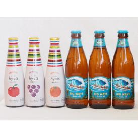 クラフトビールとリキュール6本セット(ヒュヴァ リンゴサワーalc.5% ヒュヴァ 巨峰サワーalc