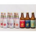 クラフトビールとリキュール9本セット(ヒュヴァ リンゴサワーalc.5% ヒュヴァ 巨峰サワーalc
