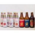 クラフトビールとリキュール9本セット(ヒュヴァ リンゴサワーalc.5% ヒュヴァ 巨峰サワーalc