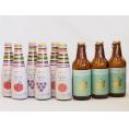 クラフトビールとリキュール9本セット(ヒュヴァ リンゴサワーalc.5% ヒュヴァ 巨峰サワーalc