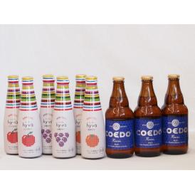 クラフトビールとリキュール9本セット(ヒュヴァ リンゴサワーalc.5% ヒュヴァ 巨峰サワーalc