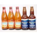 ハワイコナビール飲み比べ5本セット(横浜ラガー ロングボード) 330ml×2本 355ml×3本