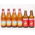 ハワイコナビール飲み比べ6本セット(アルト ロングボード) 330ml×2本 355ml×4本