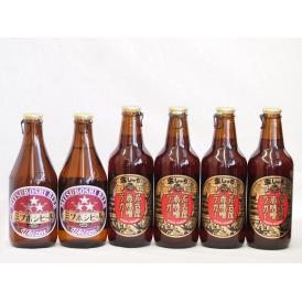 赤味噌ラガー飲み比べ6本セット(ミツボシヴァイツェン 名古屋赤味噌ラガー) 330ml×6本