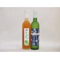 梅酒特集2本セット(京都青谷梅わいん(京都) 奥の松純米酒ベースうめとろ(福島)) 500ml×2本