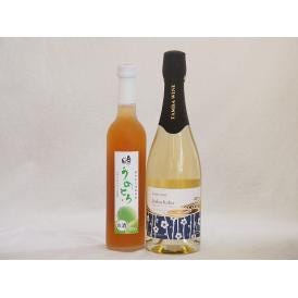 梅酒特集2本セット(京都フルーツ白梅スパークリングワインやや甘口(京都) 奥の松純米酒ベースうめとろ