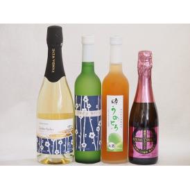 梅酒特集4本セット(薩摩スパークリングにごり梅酒梅太夫(鹿児島) 京都フルーツ白梅スパークリングワイ