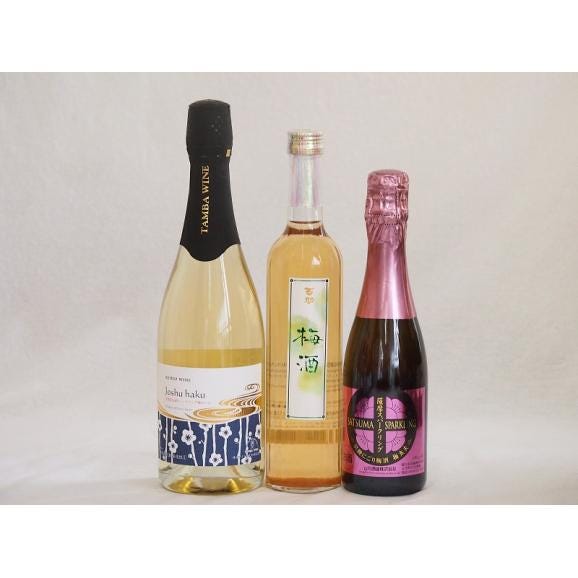 年末のプロモーション大特価! 梅酒特集3本セット(薩摩スパークリングにごり梅酒梅太夫(鹿児島 お酒