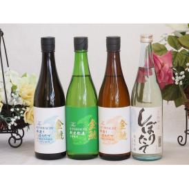 年に一度の限定生貯4本セット(金鯱寒造りしぼりたて特別純米生貯(愛知県) 金鯱寒造りしぼりたて本醸造
