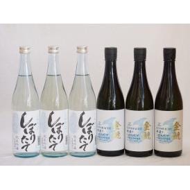 年に一度の限定6本セット(金鯱寒造りしぼりたて特別純米生貯(愛知県) 頚城しぼりたて純米吟醸生貯(新