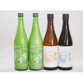 年に一度の限定4本セット(金鯱寒造りしぼりたて特別純米生貯(愛知県) 金鯱寒造りしぼりたて本醸造生貯