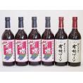 有機ワイン6本セット(あずさ赤ワイン中口 コンコード種赤ワインやや甘口) 720ml×6本