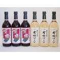 有機ワイン6本セット(あずさ赤ワイン中口 ナイアガラ種白ワインやや甘口) 720ml×6本