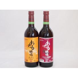 おたる甘口ワイン2本セット(赤ワイン生葡萄酒 甘口 赤ワイン生葡萄酒 山ぶどうやや甘口) 720ml