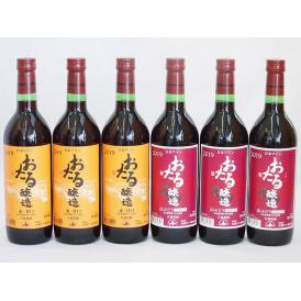 おたる甘口ワイン6本セット(赤ワイン生葡萄酒 甘口 赤ワイン生葡萄酒 山ぶどうやや甘口) 720ml