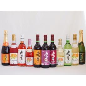 スペシャルおたるワイン11本セット(キャンベルアーリロゼワイン甘口 キャンベルアーリ赤ワイン生葡萄酒