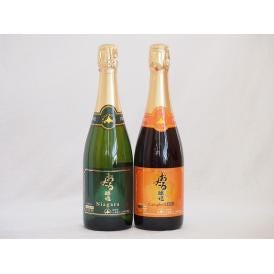 おたるスパークリングワイン2本セット(キャンベルスパークリング赤ワインやや甘口 ナイアガラスパークリ