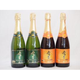 おたるスパークリングワイン4本セット(キャンベルスパークリング赤ワインやや甘口 ナイアガラスパークリ