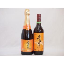 おたるワイン2本セット(キャンベルスパークリング赤ワインやや甘口 赤ワイン生葡萄酒 甘口) 720m