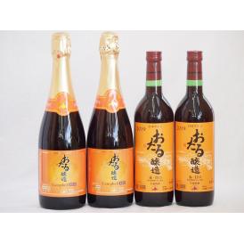 おたるワイン4本セット(キャンベルスパークリング赤ワインやや甘口 赤ワイン生葡萄酒 甘口) 720m