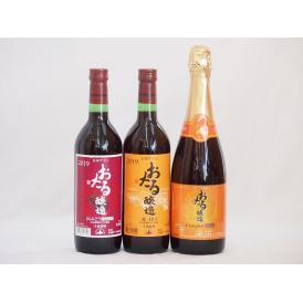 おたるワイン3本セット(キャンベルスパークリング赤ワインやや甘口 赤ワイン生葡萄酒 甘口 赤ワイン生