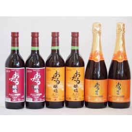 おたるワイン6本セット(キャンベルスパークリング赤ワインやや甘口 赤ワイン生葡萄酒 甘口 赤ワイン生