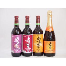 おたるワイン4本セット(キャンベルアーリ赤ワイン生葡萄酒 辛口 キャンベルスパークリング赤ワインやや