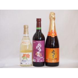 おたるワイン3本セット(キャンベルアーリ赤ワイン生葡萄酒 辛口 キャンベルスパークリング赤ワインやや