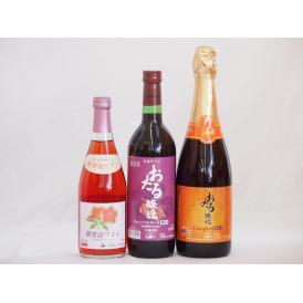 おたるワイン3本セット(キャンベルアーリ赤ワイン生葡萄酒 辛口 キャンベルスパークリング赤ワインやや