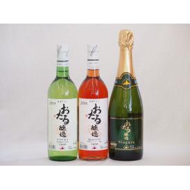 おたるワイン3本セット(キャンベルアーリロゼワイン甘口 ナイアガラスパークリング白ワインやや甘口 ナ