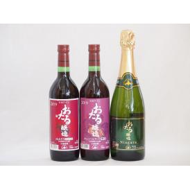 おたるワイン3本セット(キャンベルアーリ赤ワイン生葡萄酒 辛口 ナイアガラスパークリング白ワインやや
