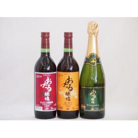 おたるワイン3本セット(ナイアガラスパークリング白ワインやや甘口 赤ワイン生葡萄酒 甘口 赤ワイン生