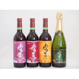おたるワイン4本セット(キャンベルアーリ赤ワイン生葡萄酒 辛口 ナイアガラスパークリング白ワインやや