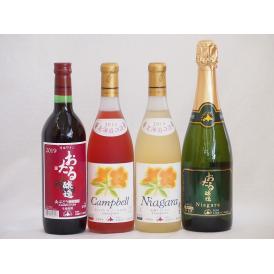 おたるワイン4本セット(ナイアガラスパークリング白ワインやや甘口 プレミアムキャンベルロゼワイン甘口