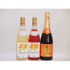 おたるワイン3本セット(キャンベルスパークリング赤ワインやや甘口 プレミアムキャンベルロゼワイン甘口