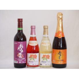 おたるワイン4本セット(キャンベルアーリ赤ワイン生葡萄酒 辛口 キャンベルスパークリング赤ワインやや