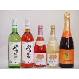 おたるワイン5本セット(キャンベルアーリロゼワイン甘口 キャンベルスパークリング赤ワインやや甘口 キ