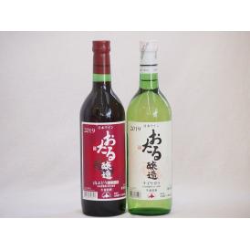 おたるワイン2本セット(ナイアガラ白ワインやや甘口 赤ワイン生葡萄酒 山ぶどうやや甘口) 720ml