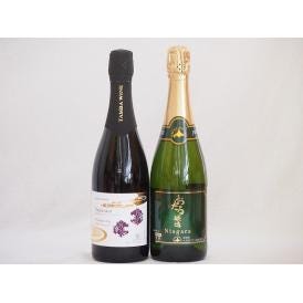 スパークリングワイン飲み比べ2本セット(ナイアガラスパークリング白ワインやや甘口 京都丹波産スパーク