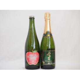 スパークリングワイン飲み比べ2本セット(ナイアガラスパークリング白ワインやや甘口 北海道余市産シード