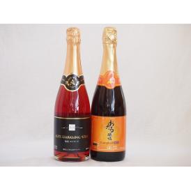 スパークリングワイン飲み比べ2本セット(キャンベルスパークリング赤ワインやや甘口 塩尻ナイアガラスパ