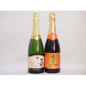 スパークリングワイン飲み比べ2本セット(キャンベルスパークリング赤ワインやや甘口 嘉スパークリングオ