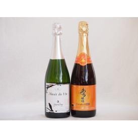 スパークリングワイン飲み比べ2本セット(キャンベルスパークリング赤ワインやや甘口 辛口スパークリング