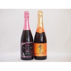 スパークリングワイン飲み比べ2本セット(キャンベルスパークリング赤ワインやや甘口 辛口スパークリング