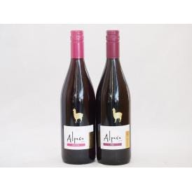 チリ産ワインアルパカ2本セット(赤ピノ・ノワール(ミディアムボディ) 赤シラー(フルボディ)) 750ml×2本