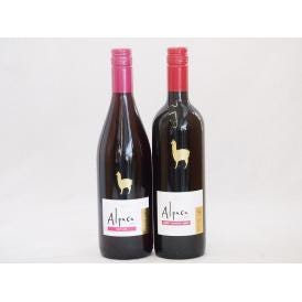 チリ産ワインアルパカ2本セット(赤ピノ・ノワール(ミディアムボディ) 赤カベルネ・メルロー(ミディアムボディ)) 750ml×2本